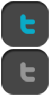 twitter_icon